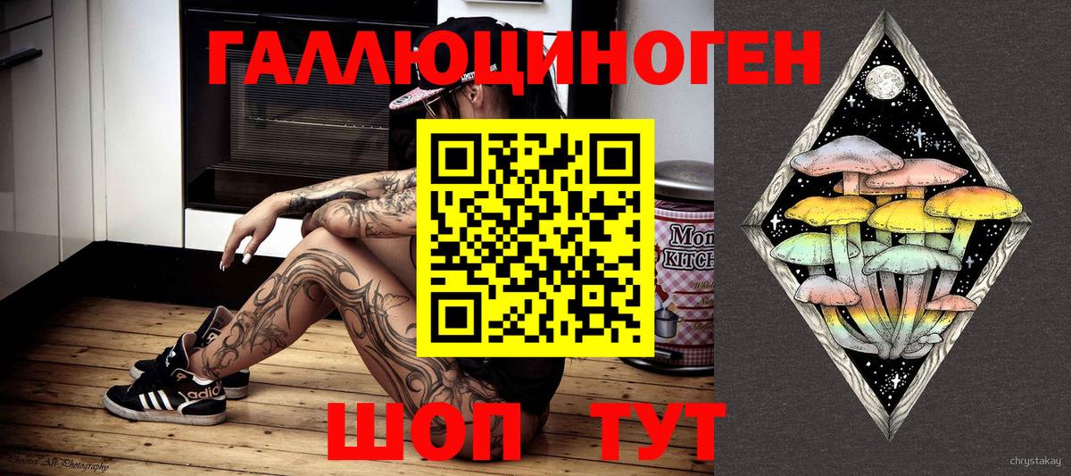 Псилоцибиновые грибы Cubensis  Галлюциногенные грибы Psilocybine cubensis  Кириши  Вход с VPN 