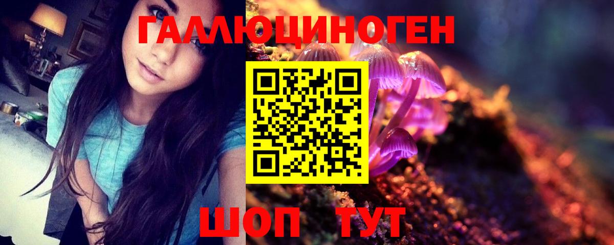Псилоцибиновые грибы прущие грибы Кириши