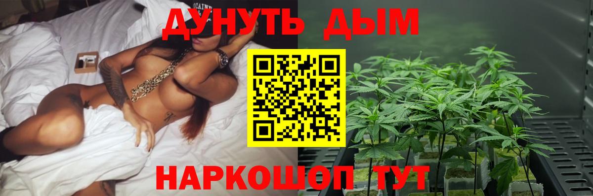 МАРИХУАНА AK-47  Канабис марихуана  Каннабис планчик  Вход с VPN  Шишки марихуана OG Kush  Кириши 